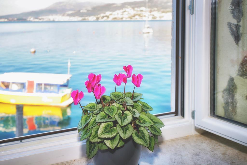 Apartments Barizon Luštica Zewnętrze zdjęcie